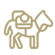 Mule