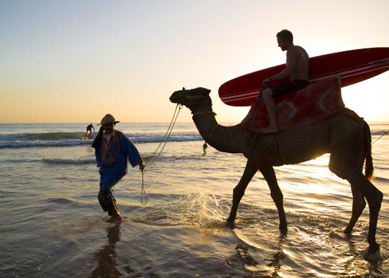 Surf And Beach In Morocco