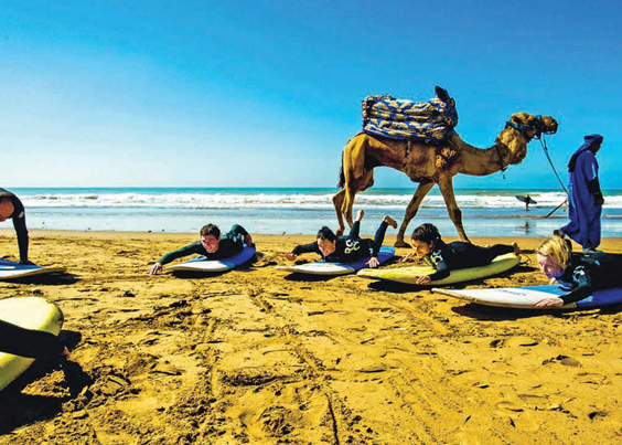 Surf And Beach In Morocco